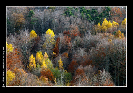 2008_11_Monts_du_Lyonnais_01