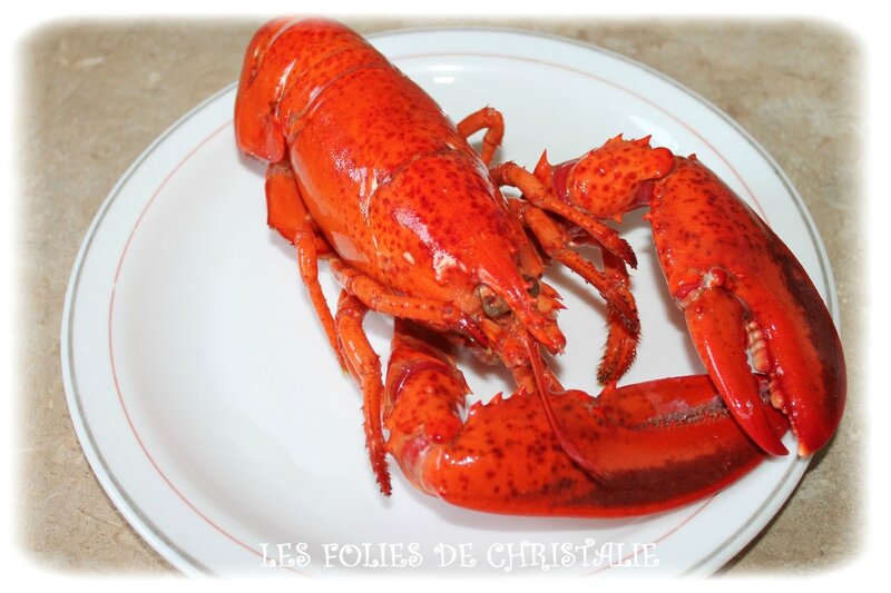 Terrine de homard 1