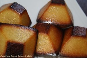 IMG_6105_blog