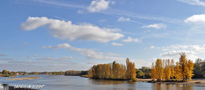 La Loire à Combleux avec ses couleurs d'automne