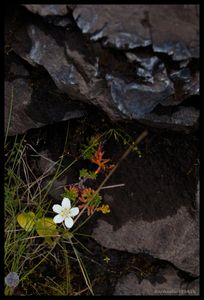 29082011_DSC09328_border