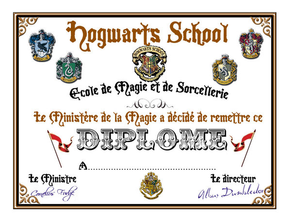 DIPLOME_DE_FIN_D_ann_e
