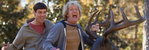 dumb and dumber to