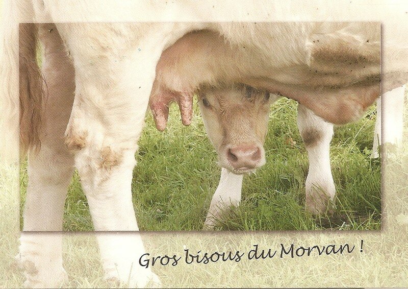 Sublime Morvan (58)