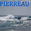 PIERREAU INSULAIRE