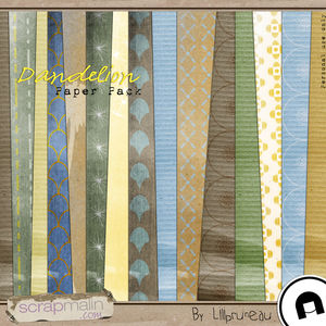 Lilipruneau_Dandelion_PaperPack_Visu