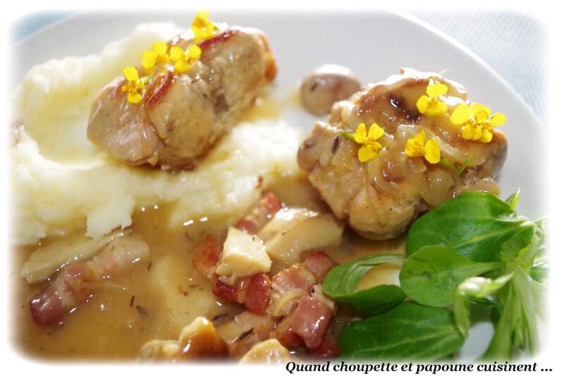 lapin aux cèpes purée de panais-4743