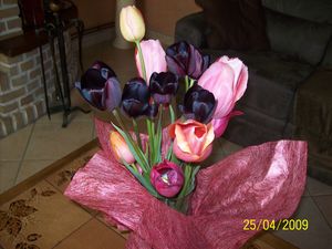 tulipes_noires_roses
