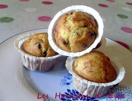 muffins_sans_cholesterol