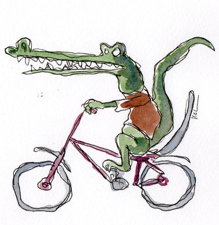 croco_velo