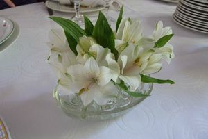 fleurs de table2