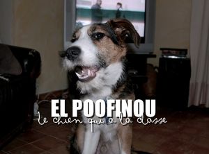 ELPOOFINOU