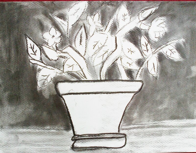 NaturMorte15