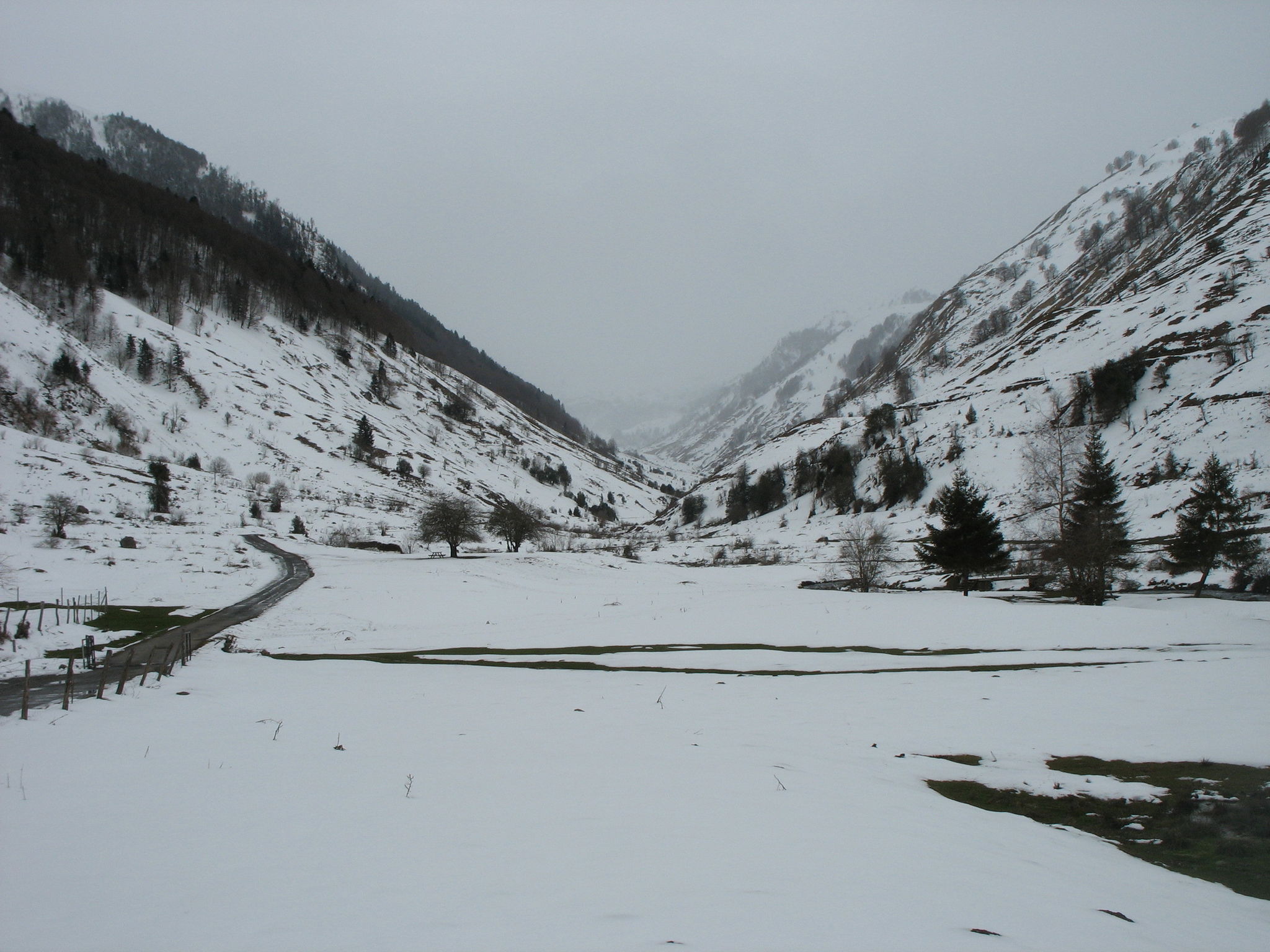 Plateau de Lhers en hiver, on n'ira pas plus loin (64)