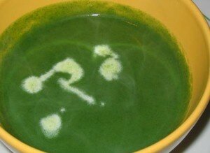 Velouté de fanes de radis ou Rien ne se perd…… recettes Soupe de fanes de radis