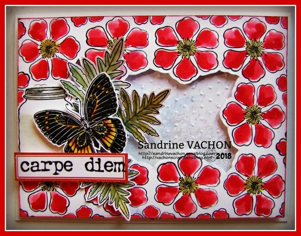 Sandrine VACHON défi 527 mars  (1)