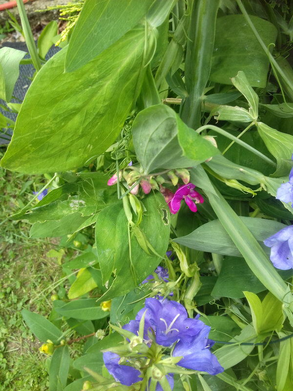20190622_113511
