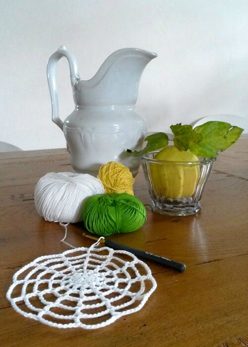 nature morte et wip crochet anisbee