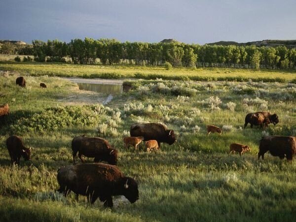 north-dakota_2736_600x450