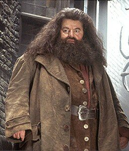 Hagrid3