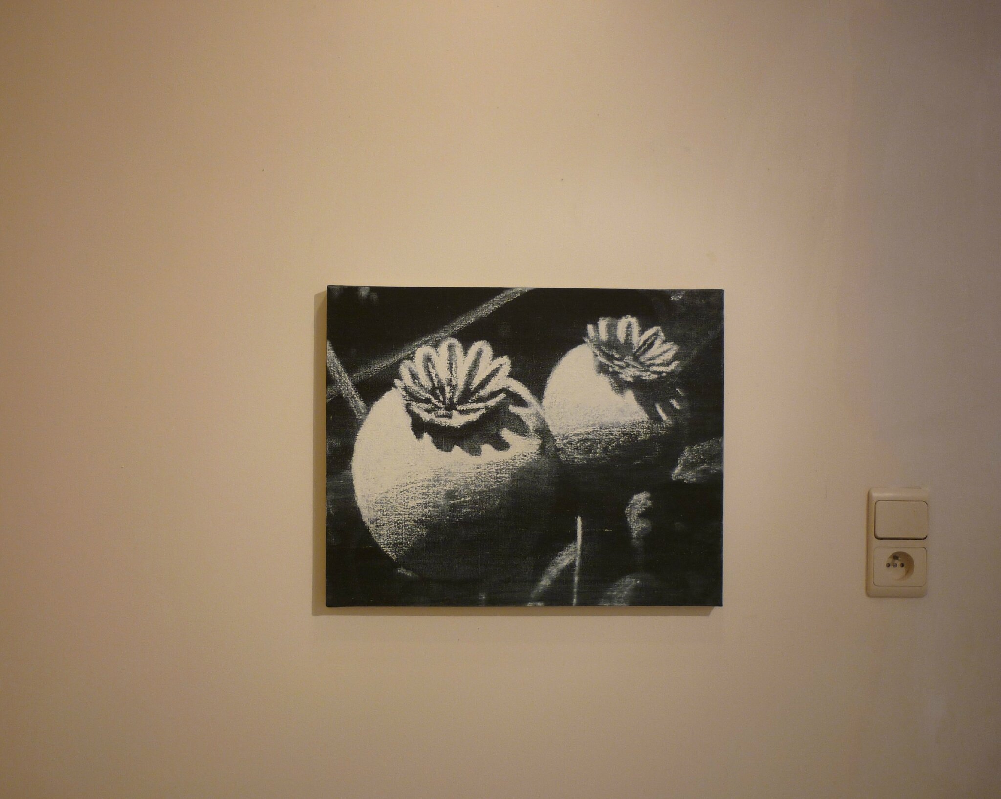 P10902972
