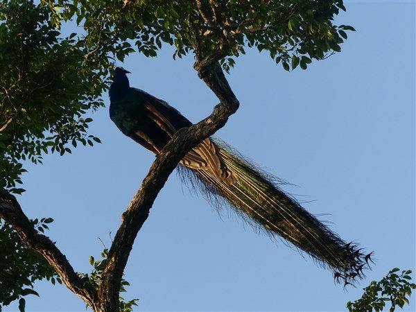 P1270499