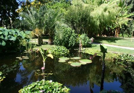 jardin_sur_la_riviera