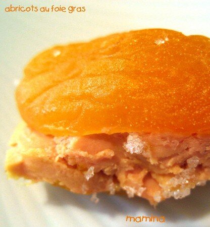 ABRICOT_AU_FOIE_GRAS2