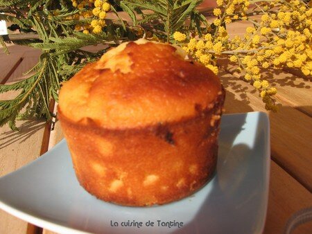 muffins chocolat blanc, abricots et fève tonka recettes dessert muffins chocolat blanc, abricots et fève tonka