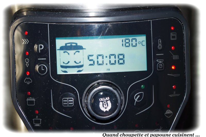 goulash à l'autocuiseur cecotec-9891