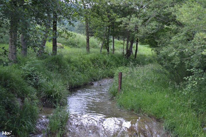 180603_combovin_1