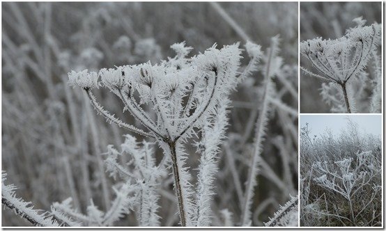givre du 17 décembre 20221