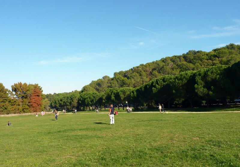 P1080089 - Copie