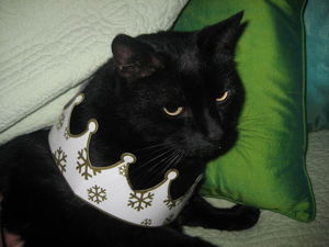 Photo_024