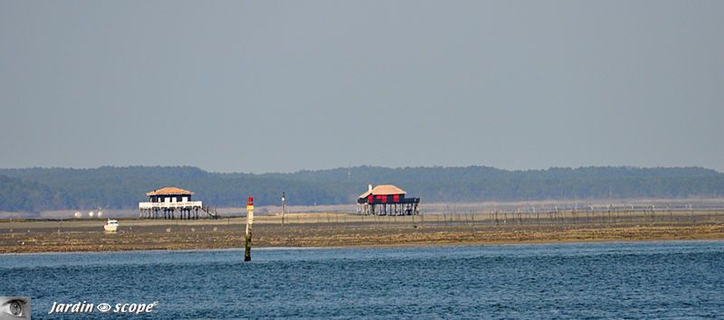 Les cabanes tchanquées de l'île aux Oiseaux