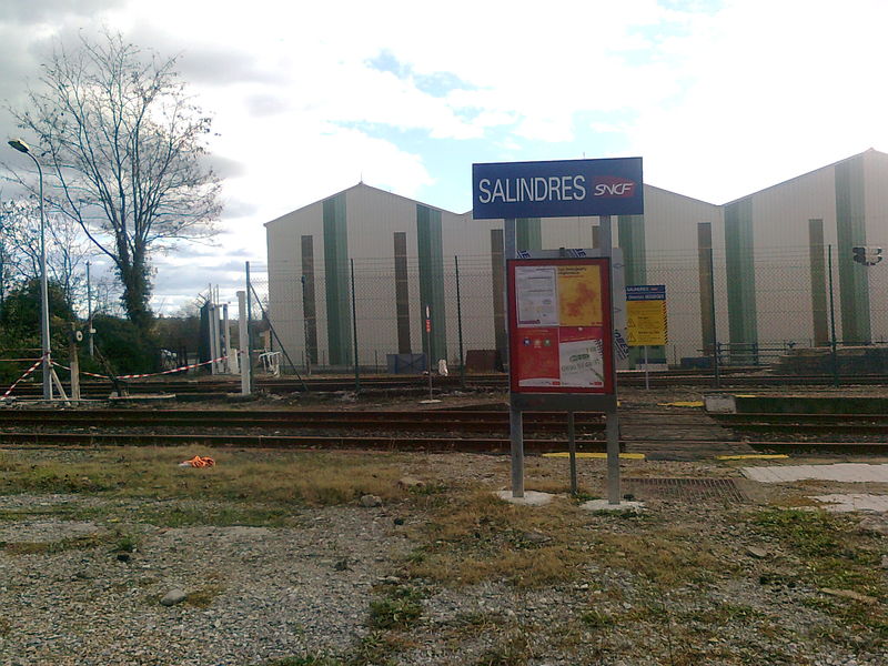 Salindres (Gard)
