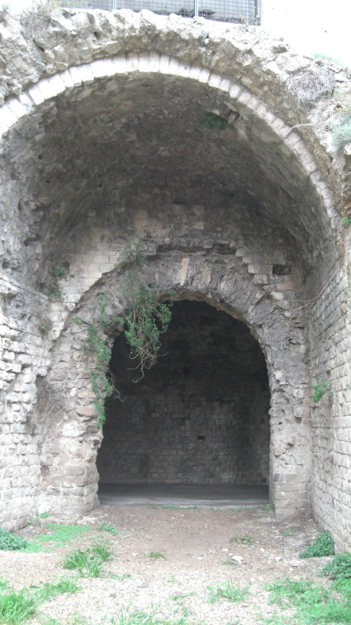 CIMG4393