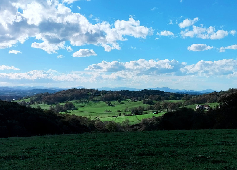 Ogenne-Camptort, panorama (64)