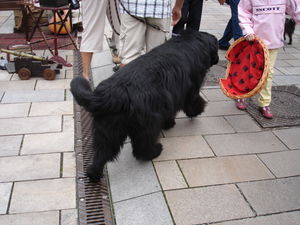 brocante_Sarre_Union_009