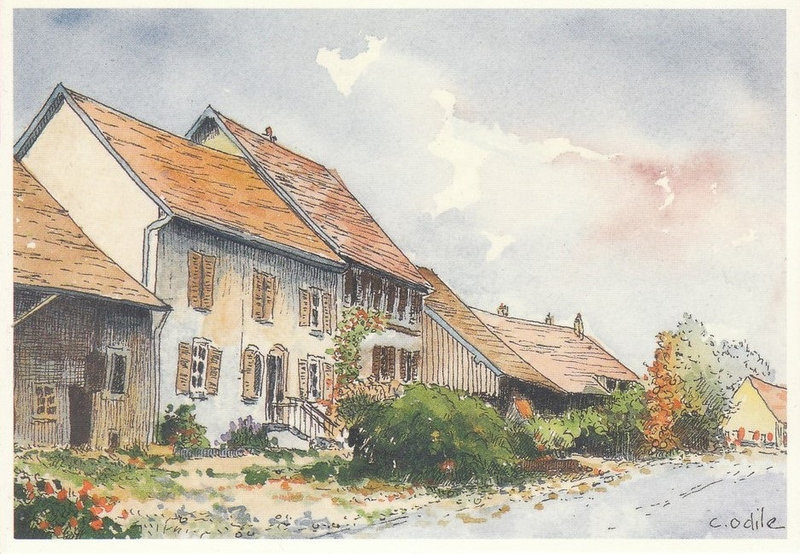 CPM Moval Illustration C Odile