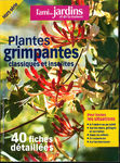Plantes_grimpantes