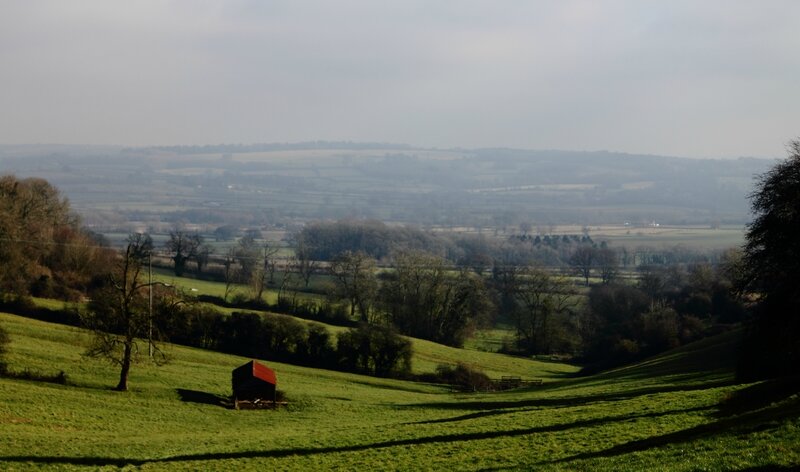 Cotswolds countryside (1)