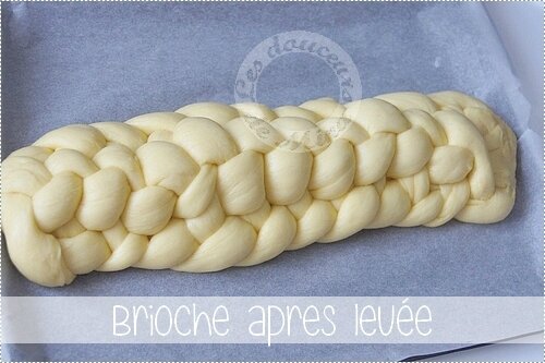 BriocheMeilleurPatissier022