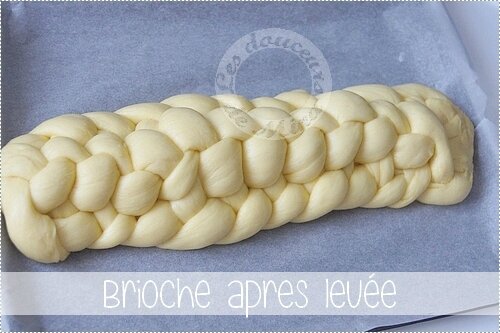 BriocheMeilleurPatissier022