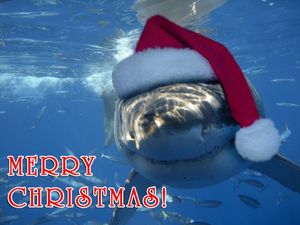 christmas-great-white-shark