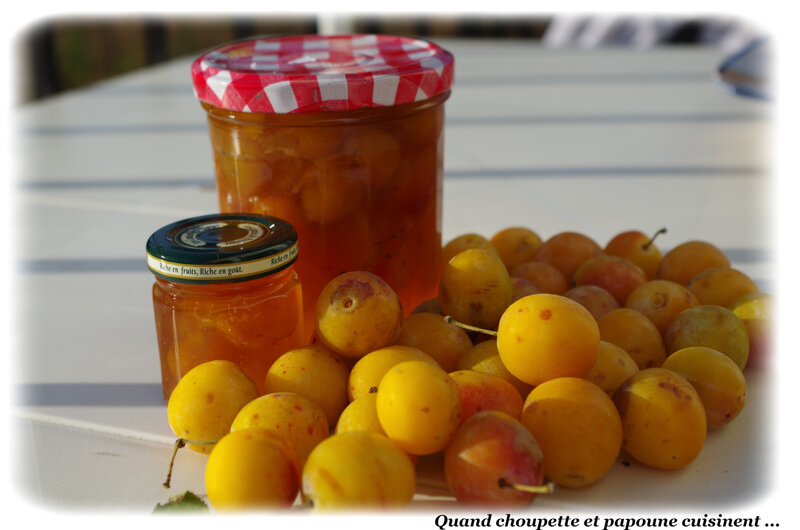 confiture mirabelles-6193