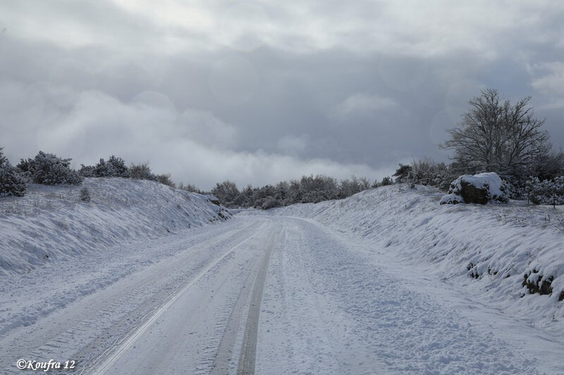 Photos JMP©Koufra 12 - Cornus - Neige - 28012019 - 0182