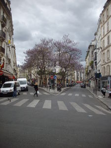 IMGP3781