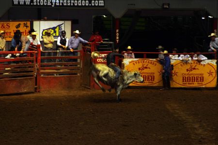 Rodeo_8