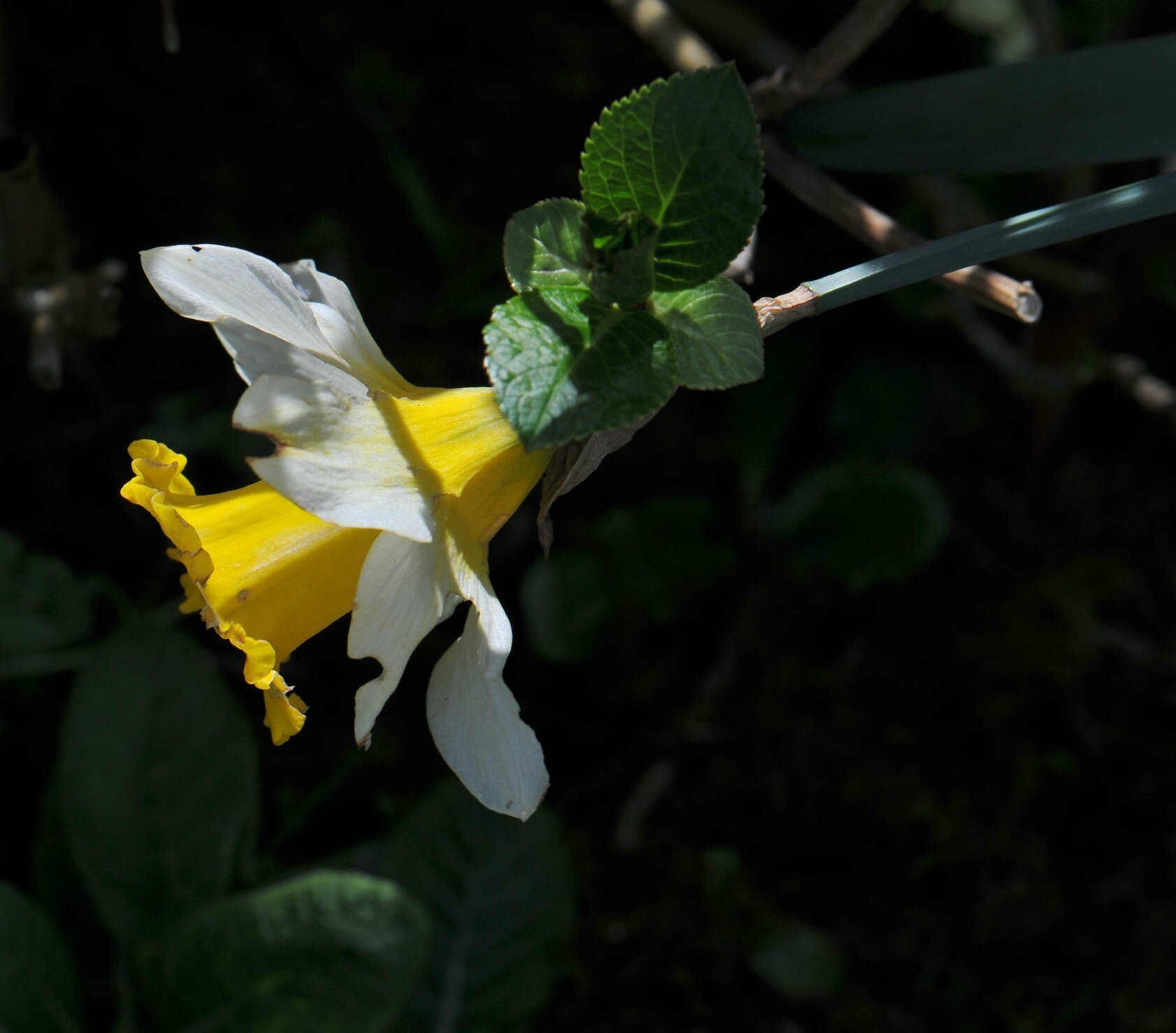 HD3_5653-1
